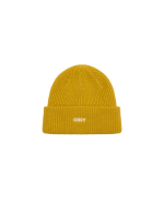 FUTURE BEANIE